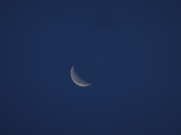 a0054240_20522512.jpg