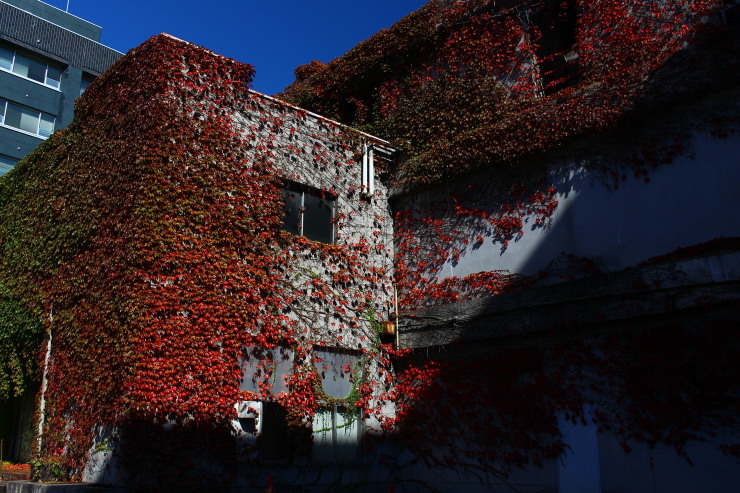 f0346740_23085554.jpg