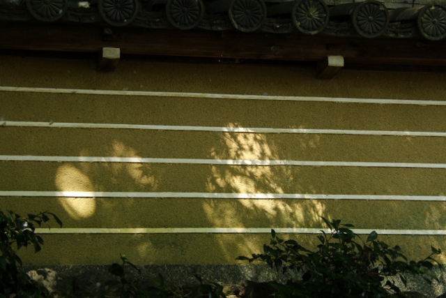 e0039744_2123507.jpg