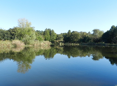 e0172950_2064632.jpg