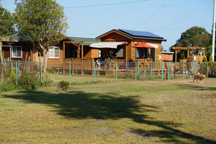 a0267860_19451447.jpg