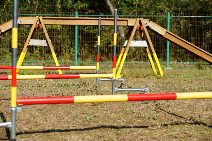 a0267860_20213442.jpg