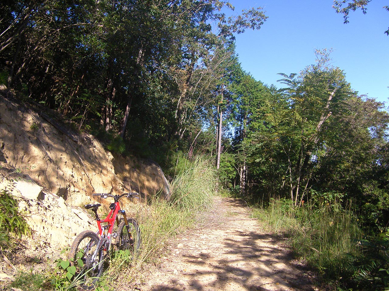 e0080860_23531364.jpg