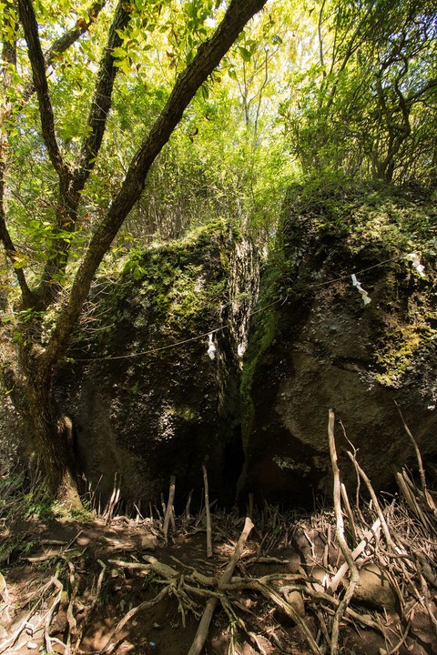 c0260264_17495469.jpg