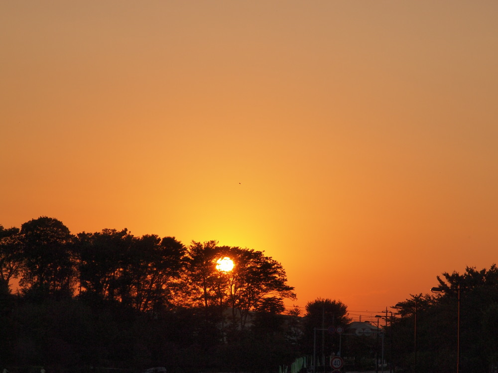 a0073065_19492973.jpg