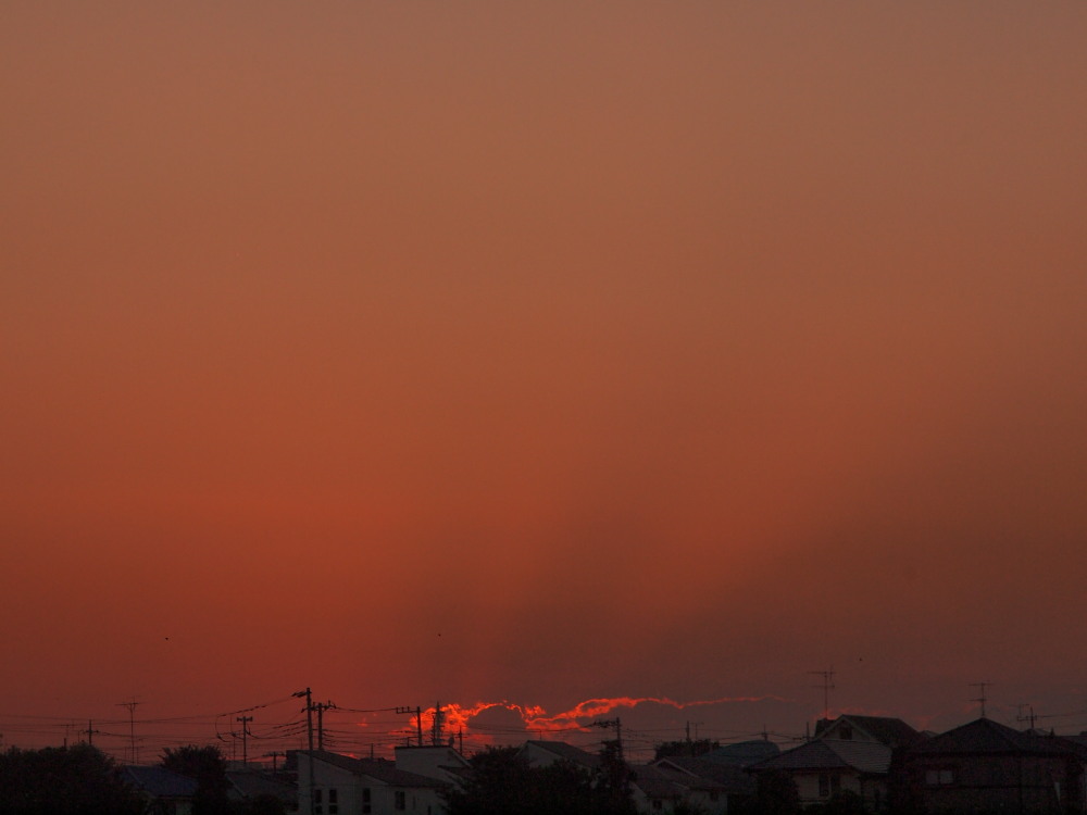a0073065_195023.jpg