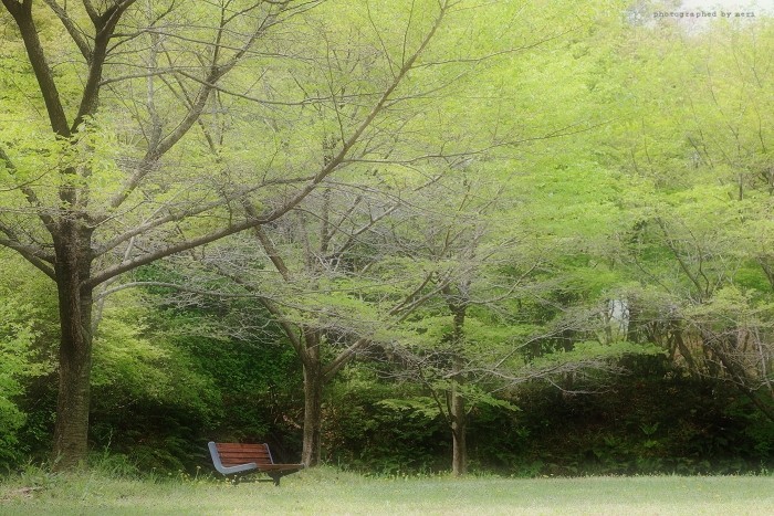 f0251765_20361051.jpg