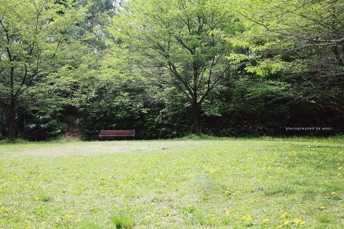 f0251765_20361121.jpg