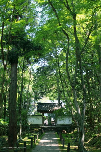 f0251765_20364020.jpg