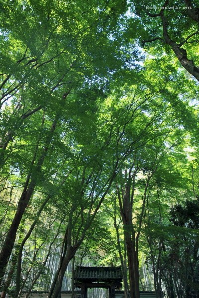 f0251765_20364929.jpg