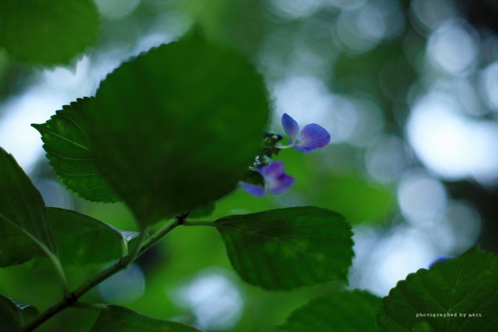 f0251765_20373501.jpg