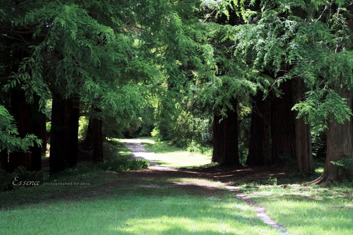 f0251765_20375147.jpg