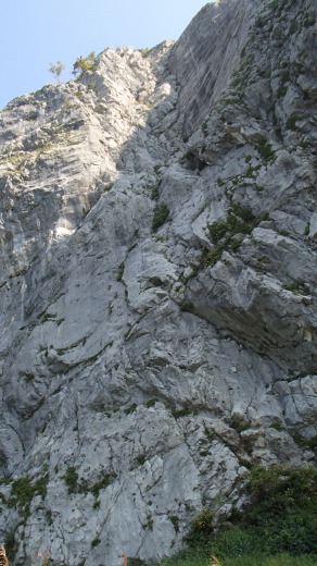 b0050067_13255470.jpg