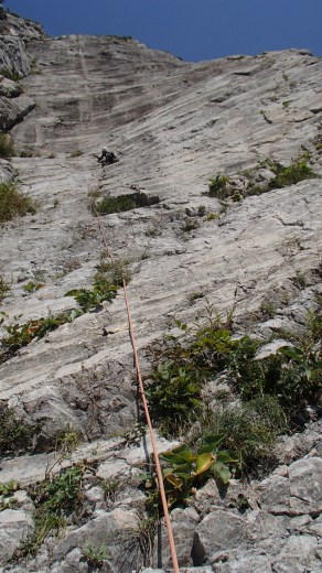 b0050067_1335214.jpg