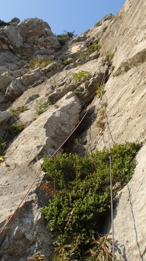b0050067_134806.jpg