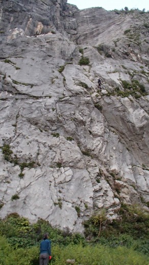 b0050067_13524688.jpg