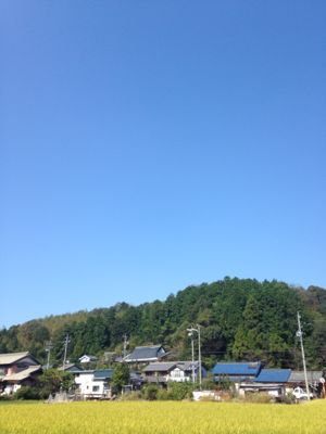 e0333569_17552525.jpg