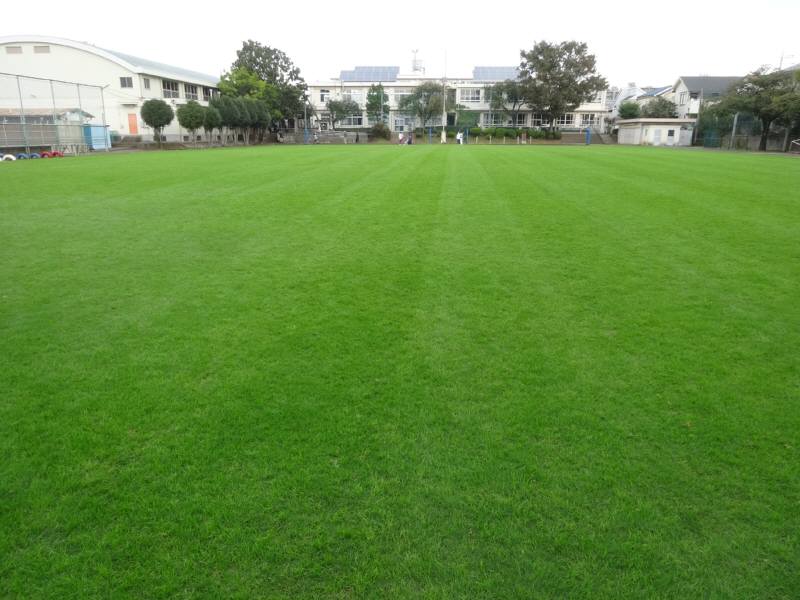 f0059673_19334773.jpg