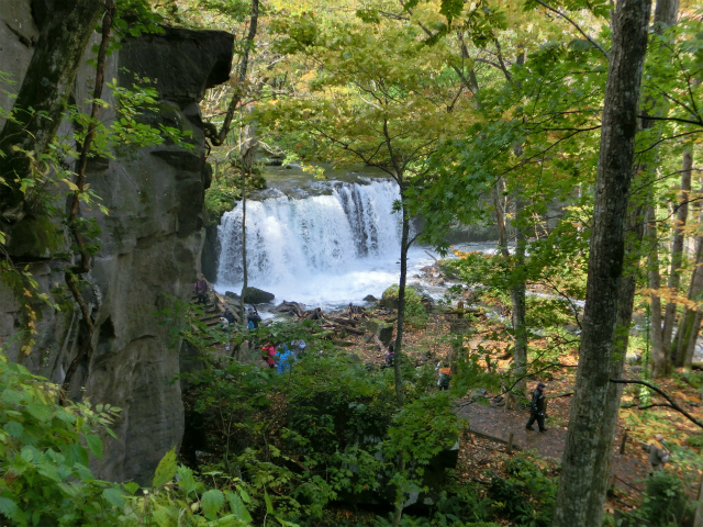 d0165378_11241076.jpg