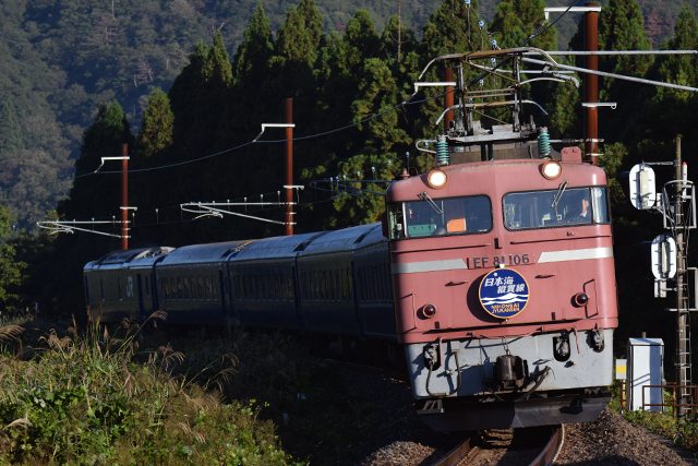 f0014380_2317542.jpg