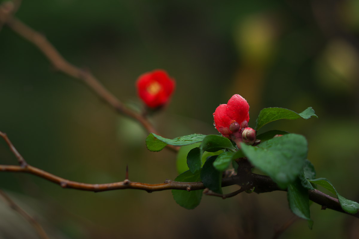 a0083081_7494626.jpg