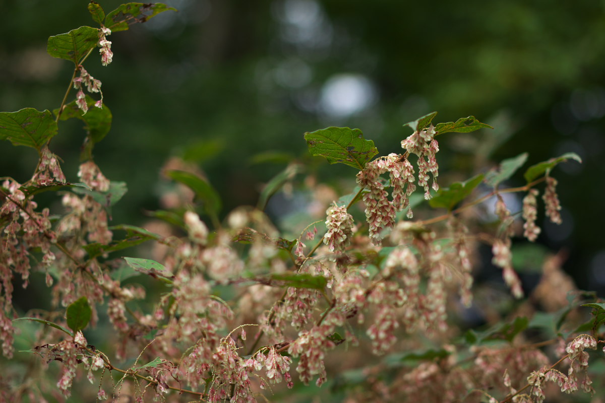a0083081_75015.jpg