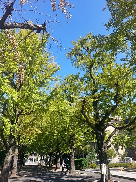 c0096685_10400263.jpg