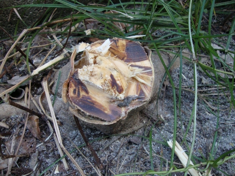 c0322794_2273626.jpg