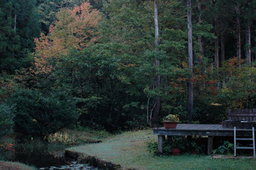 a0061599_7194234.jpg