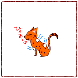 c0011300_13452766.gif