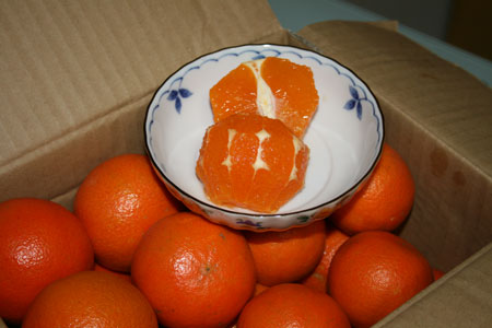 c0011300_13453467.jpg