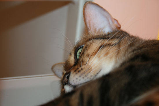 c0011300_13480801.jpg