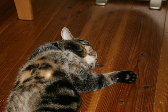 c0011300_13482107.jpg