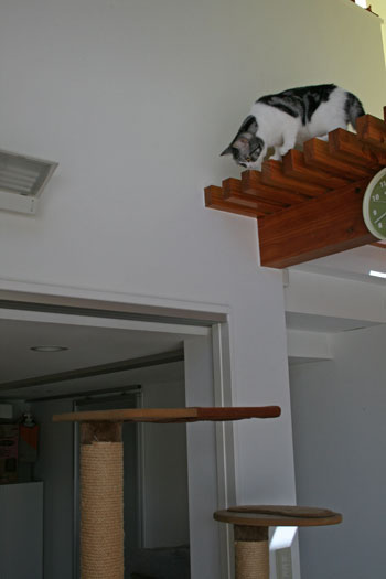 c0011300_13483708.jpg