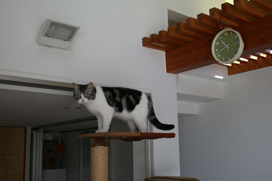 c0011300_13483745.jpg