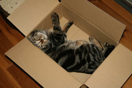 c0011300_13492347.gif