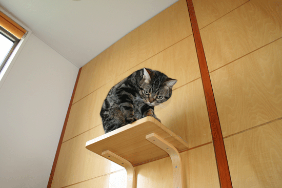 c0011300_13502917.gif