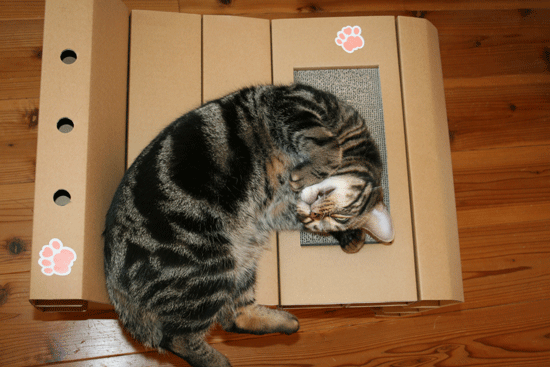 c0011300_13503930.gif