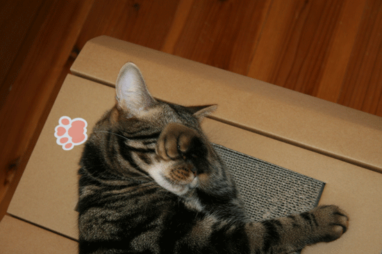 c0011300_13503938.gif