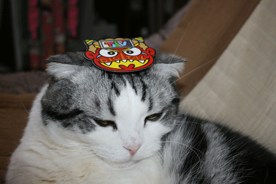 c0011300_13510866.gif