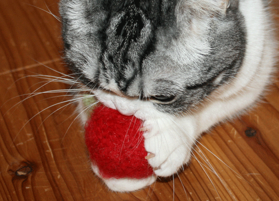 c0011300_13525062.gif