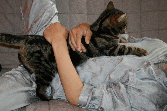 c0011300_13534117.gif