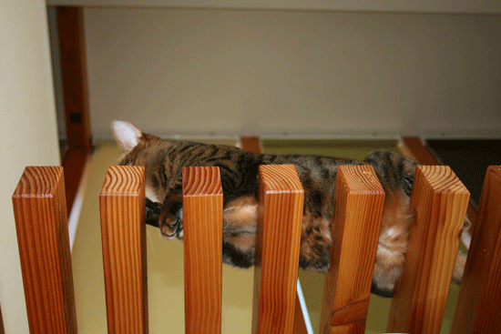 c0011300_13545861.gif
