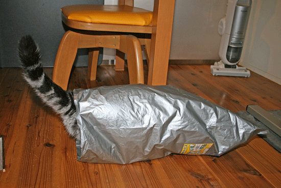 c0011300_13551798.gif