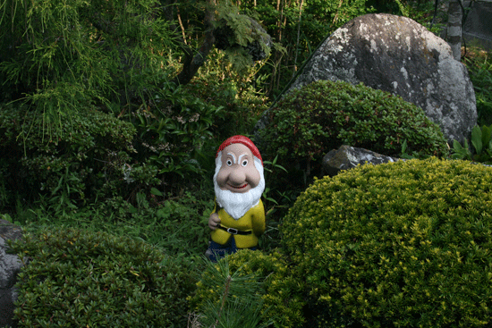 c0011300_13552069.gif