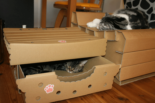c0011300_13555871.gif