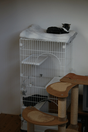 c0011300_13571442.gif