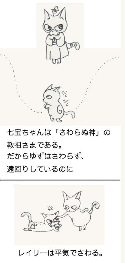 c0011300_13590747.gif