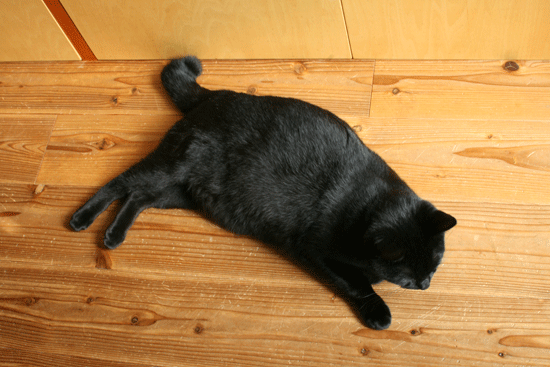 c0011300_14001801.gif