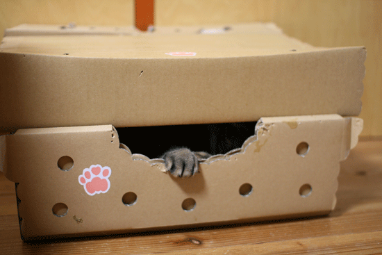 c0011300_14003249.gif
